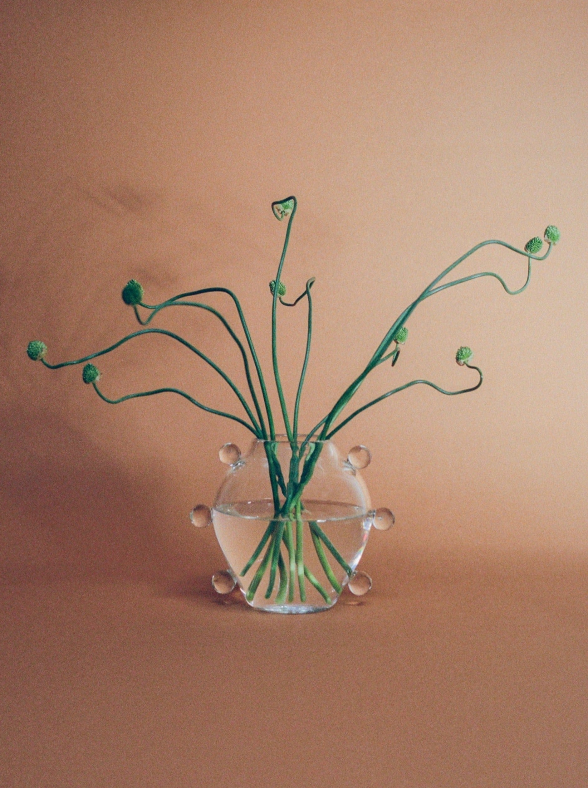 Clear Handblown Glass Vase - Image 7