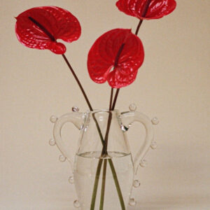 Clear Double-Handled Glass Vase