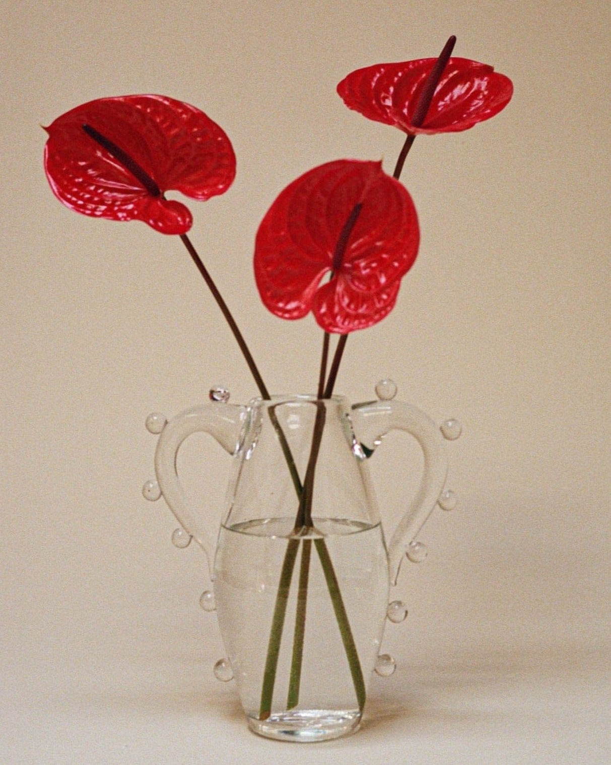 Clear Double-Handled Glass Vase