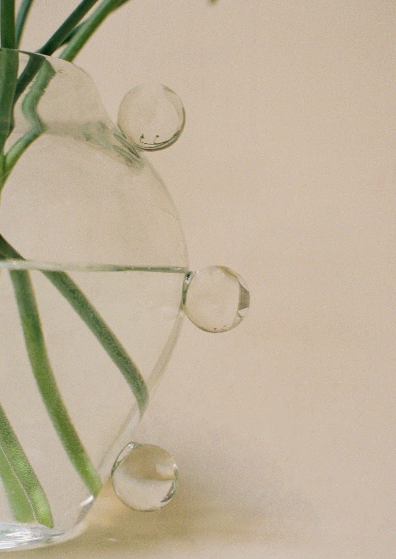 Clear Handblown Glass Vase - Image 6