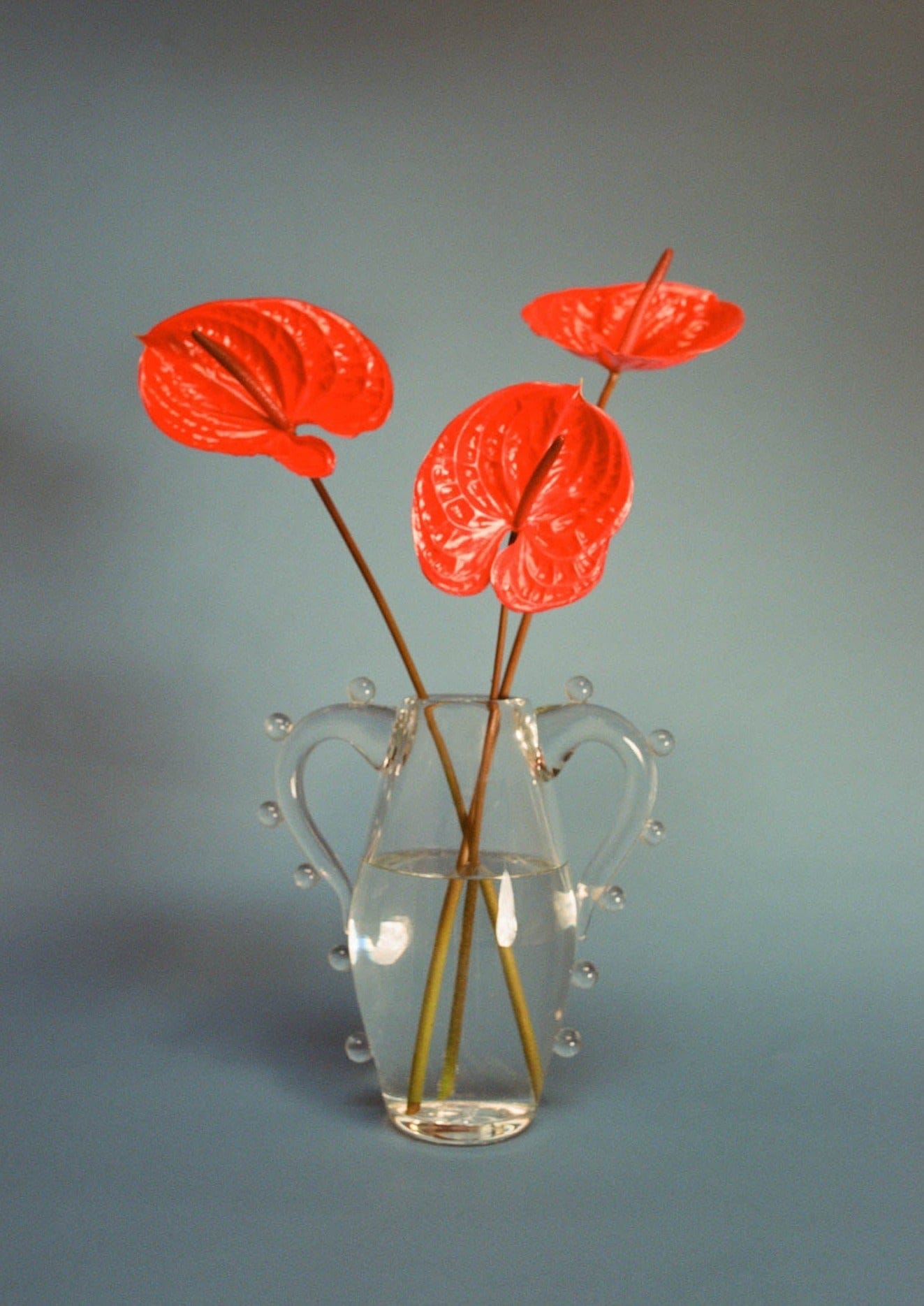 Clear Double-Handled Glass Vase - Image 3