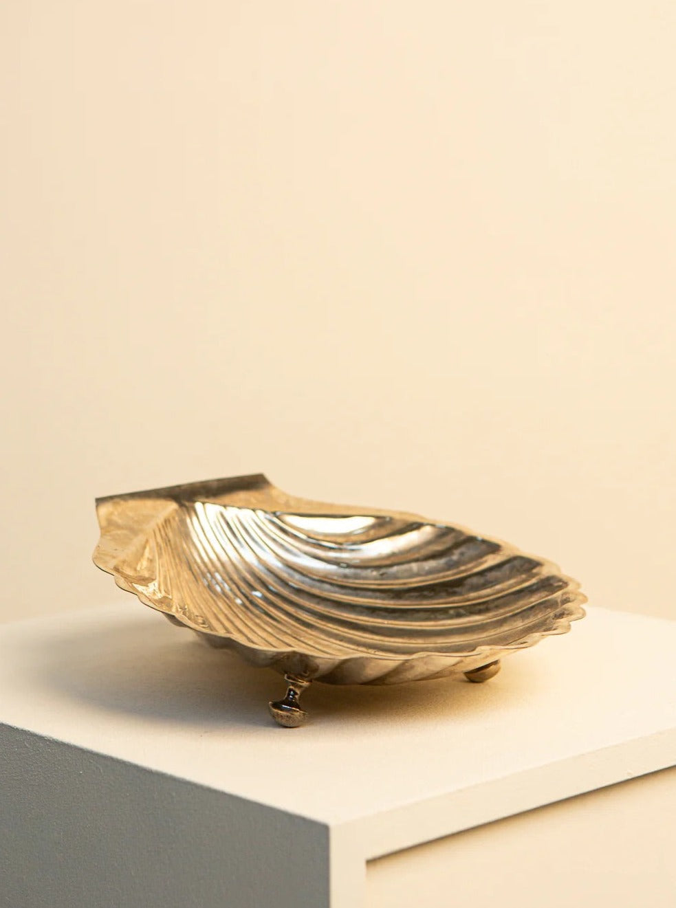 Large Silver Shell Catchall Tray