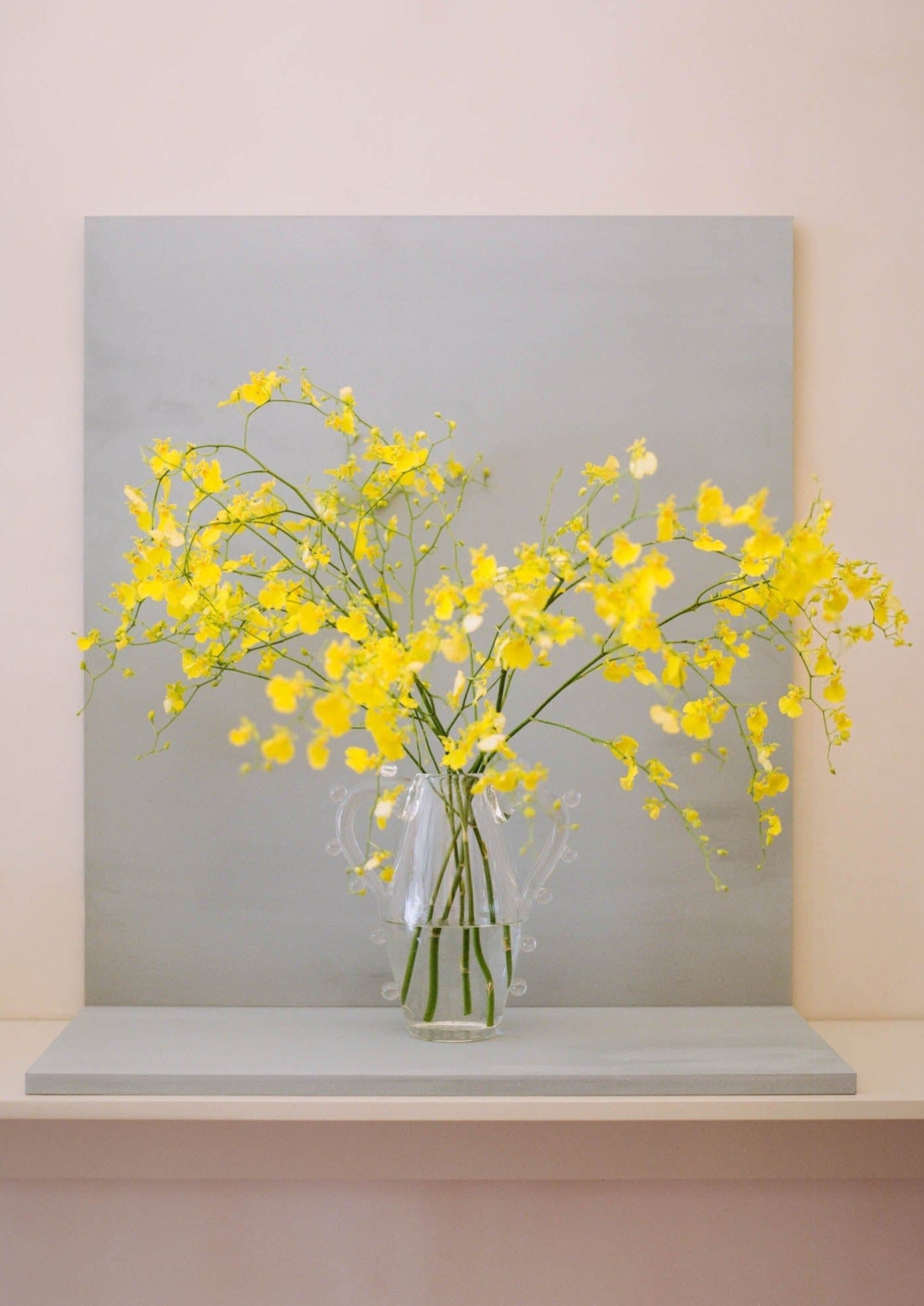 Clear Double-Handled Glass Vase - Image 4