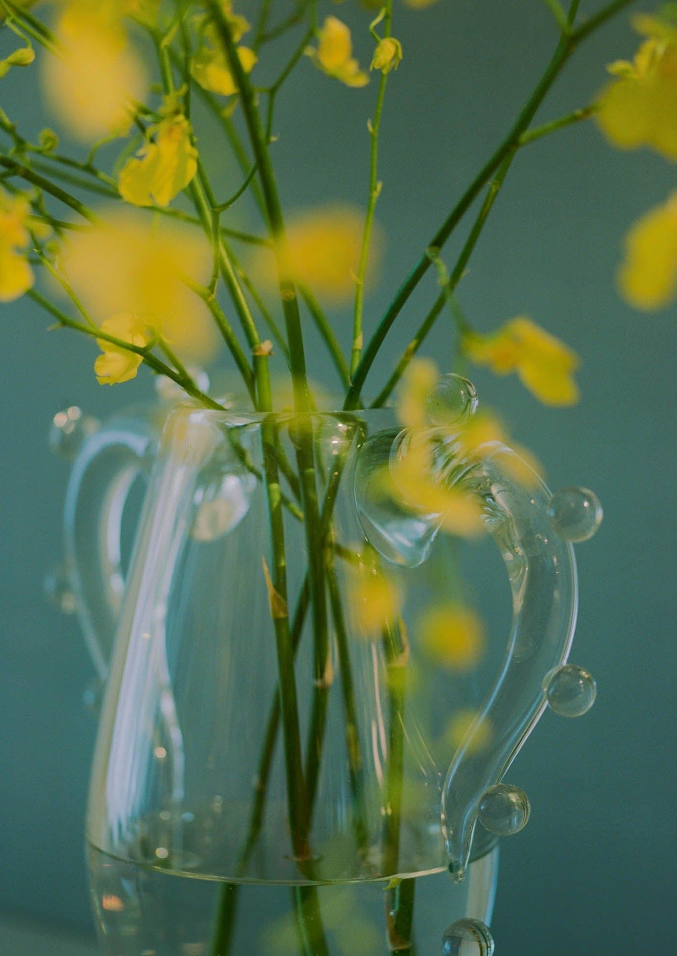 Clear Double-Handled Glass Vase - Image 6