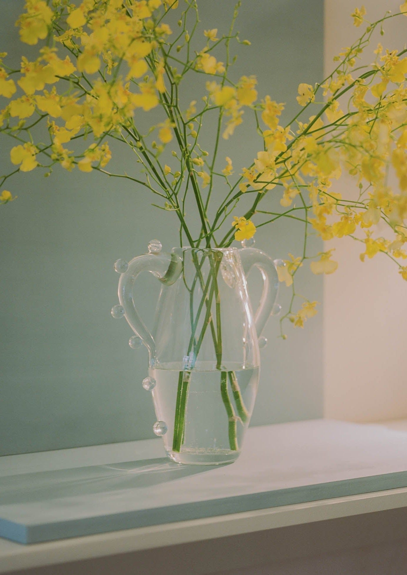 Clear Double-Handled Glass Vase - Image 5