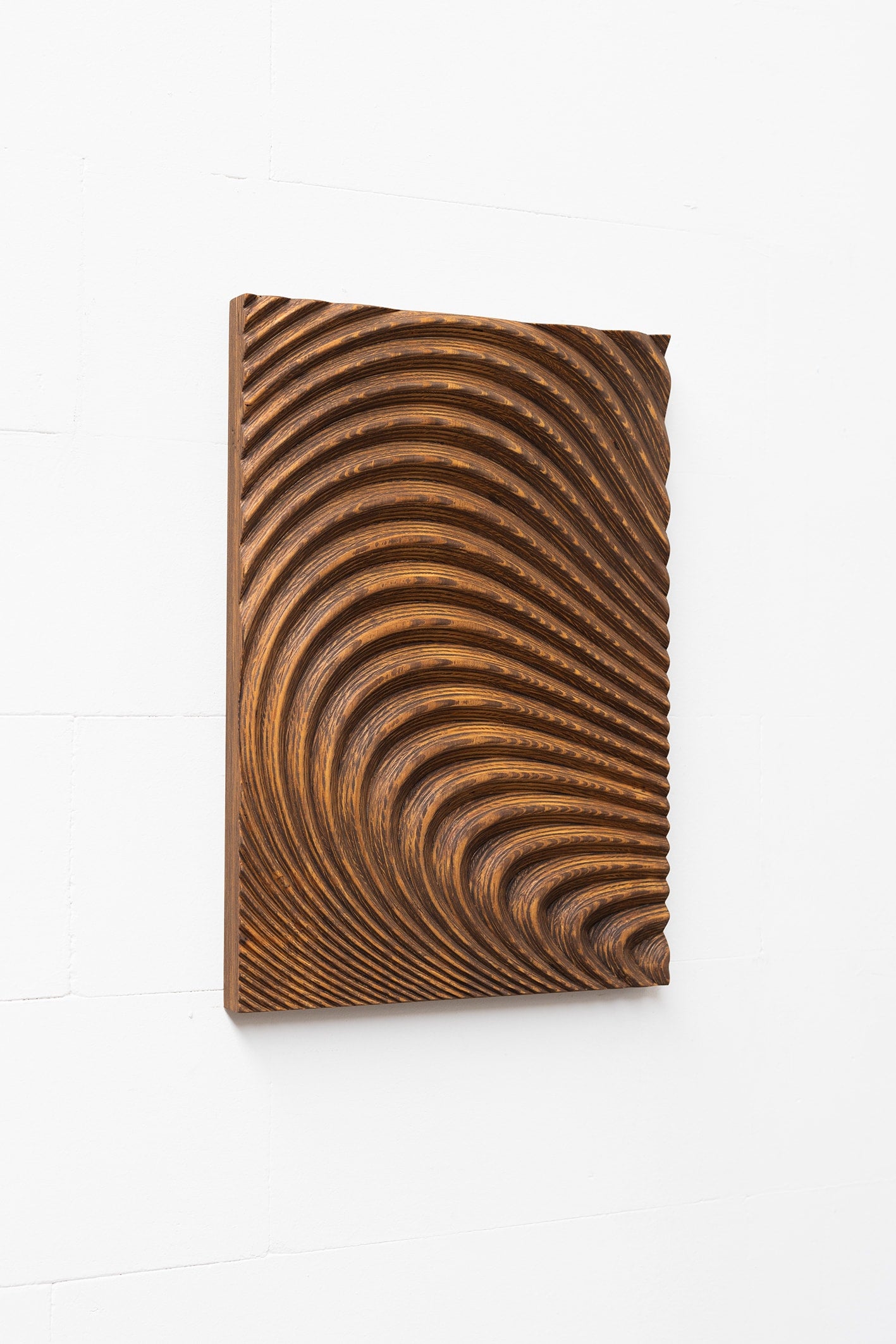 Large Organic Carved Wood Wall Sculpture