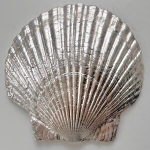 Silver Fossil Shell Plate