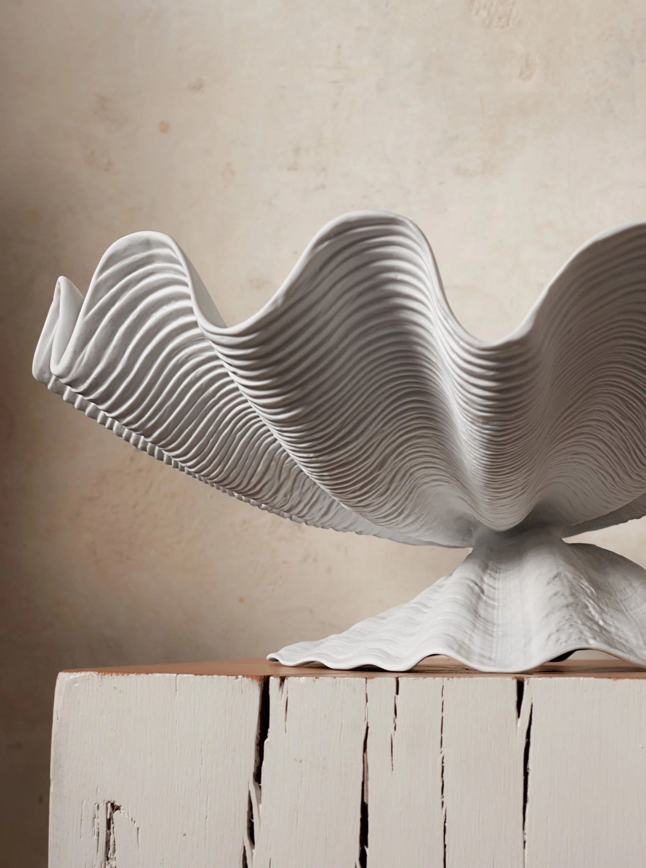 Large White Porcelain Shell Bowl
