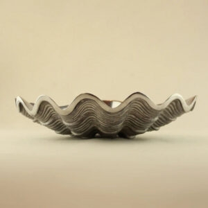 Silver Shell Decorative Bowl