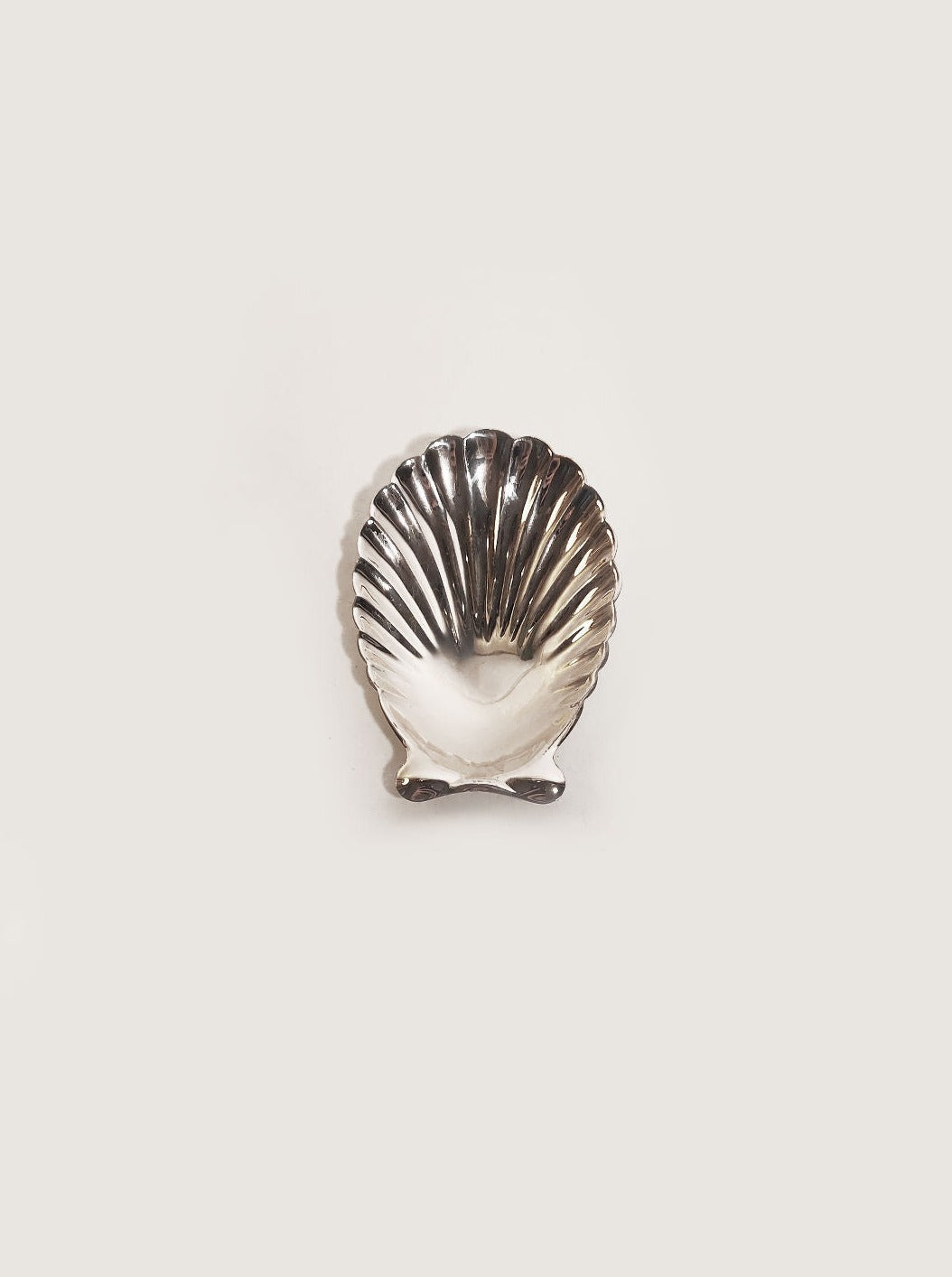 Small Shell Catchall Tray