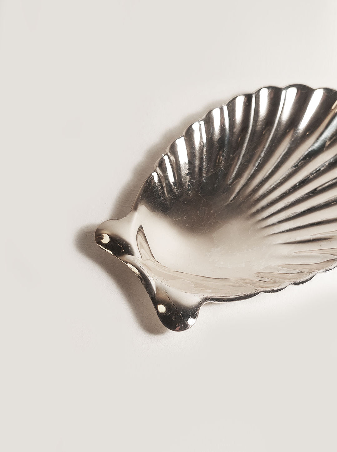 Small Shell Catchall Tray - Image 2