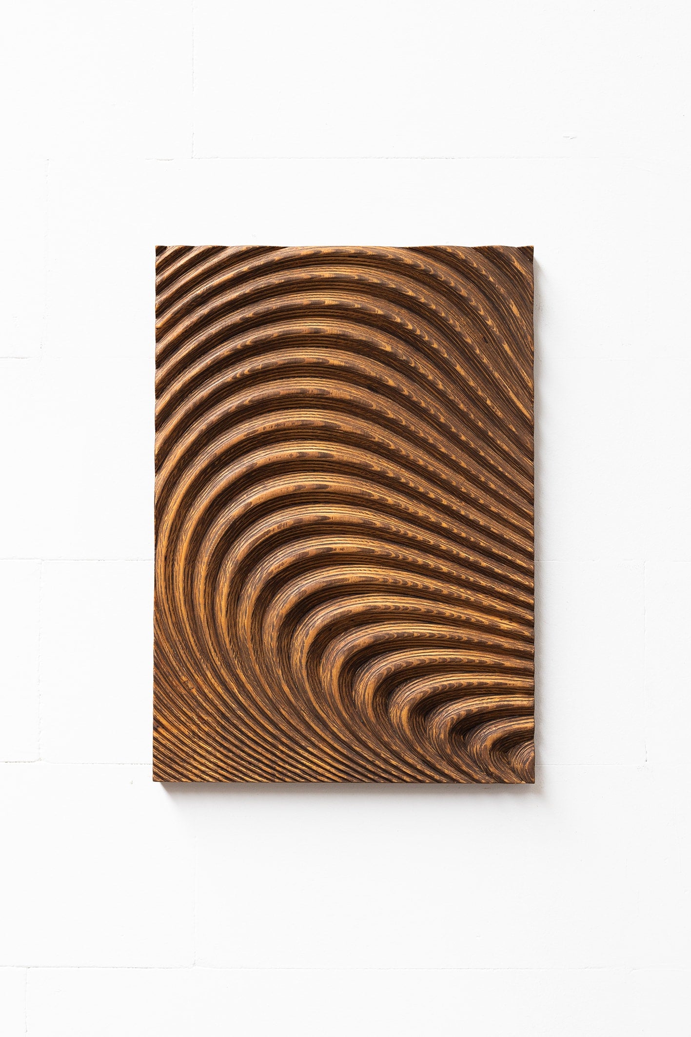 Large Organic Carved Wood Wall Sculpture - Image 3