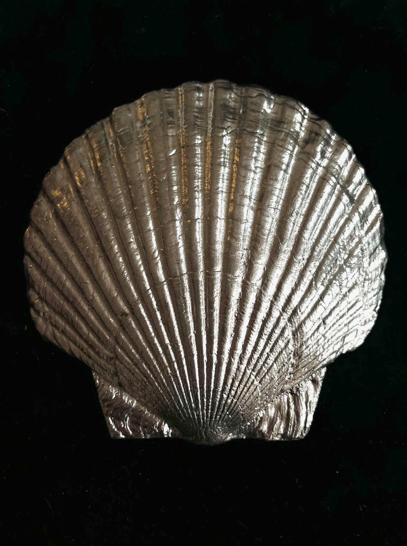 Silver Fossil Shell Plate - Image 5